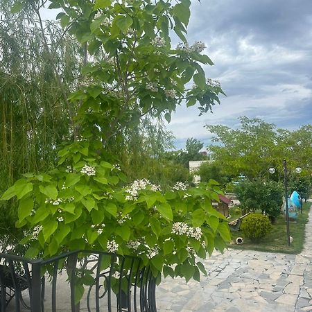 Ralina Restaurant And Hotel Davalinskiy Tsemzavod 外观 照片
