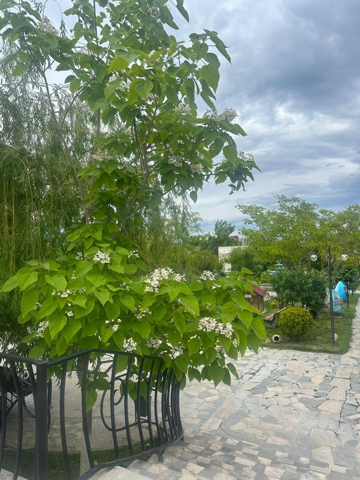 Ralina Restaurant And Hotel Davalinskiy Tsemzavod 外观 照片